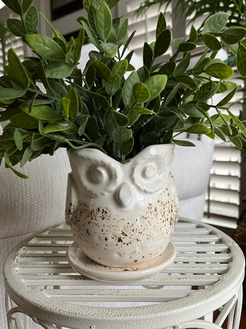 Stoneware Owl Planter